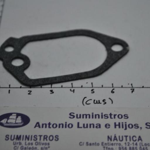 Junta de la tapa del termostato (equivalente 61A-12414-A0 Yamaha) RecMar [4]