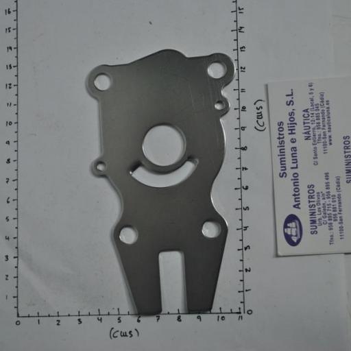 Placa metálica de la bomba de agua (equivalente 63D-44323-00 Yamaha) RecMar