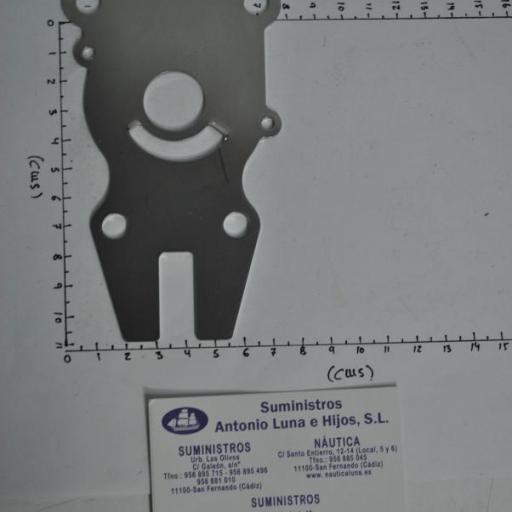 Placa metálica de la bomba de agua (equivalente 63D-44323-00 Yamaha) RecMar [5]