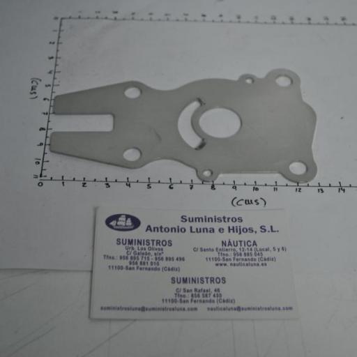 Placa metálica de la bomba de agua (equivalente 63D-44323-00 Yamaha) RecMar [1]