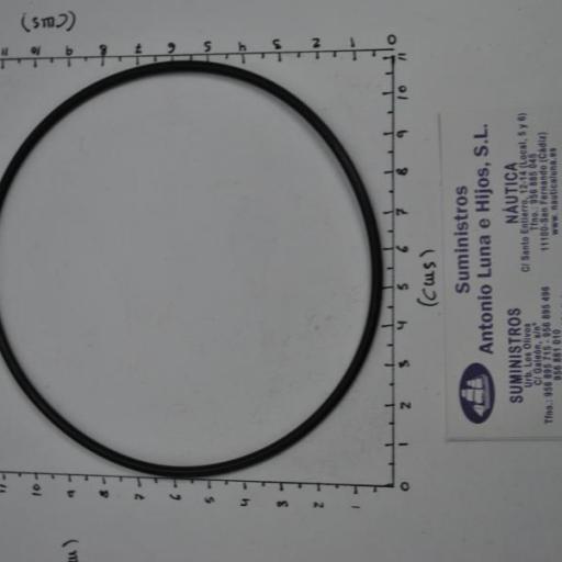 Aro tórico del eje de la hélice (equivalente 925261 Volvo) RecMar [1]
