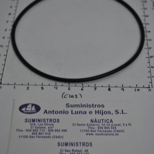 Aro tórico del eje de la hélice (equivalente 925261 Volvo) RecMar [2]