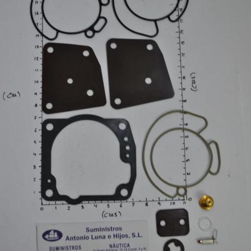 Kit de juntas del carburador (equivalente 438996 OMC/Johnson/Evinrude) RecMar [0]