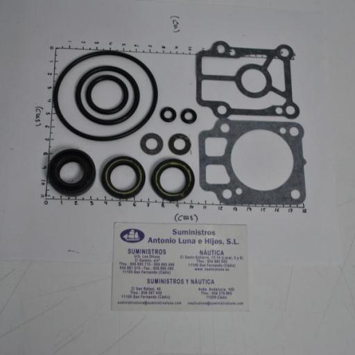 Kit de juntas inferior del motor 3R0-87321-1 original Tohatsu [1]