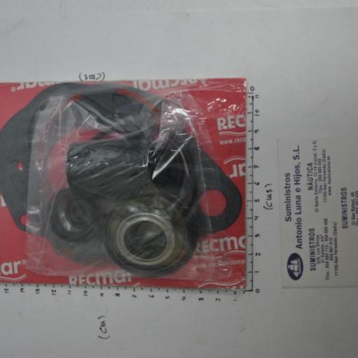 Kit de juntas y retenes de la cola (equivalente 814669A2 Mercury) RecMar [1]