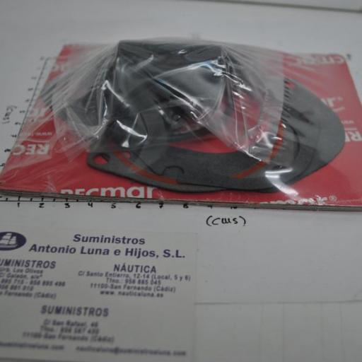 Kit de juntas y retenes de la cola (equivalente 814669A2 Mercury) RecMar [4]