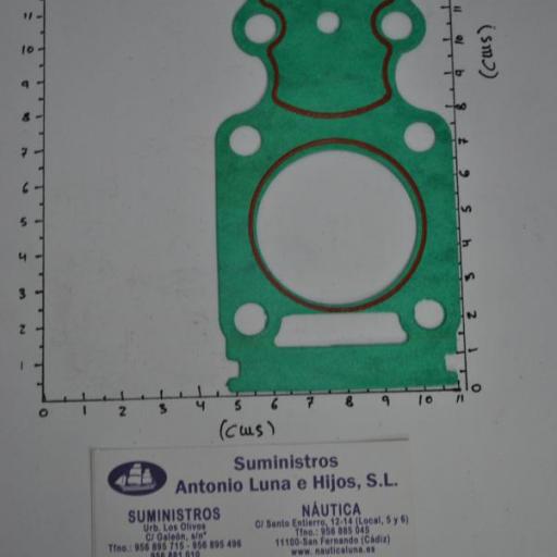 Junta de la bomba de agua F20-04000004E original Parsun