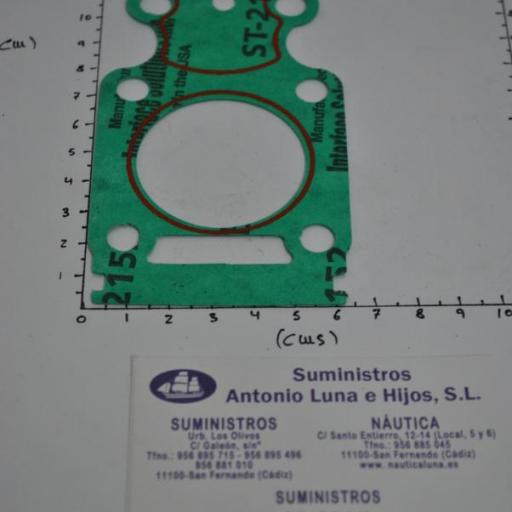 Junta de la bomba de agua F20-04000004E original Parsun [3]