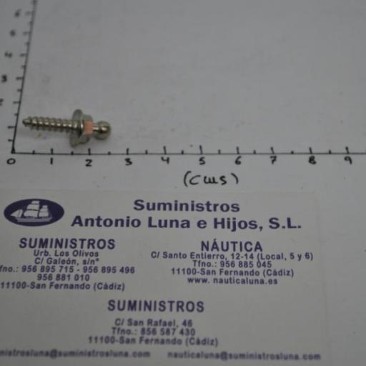 Pivote rosca de latón cromado Goldenship [4]