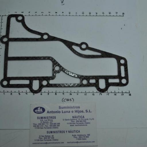 Junta de refrigeración (equivalente 6L2-41112-A3 Yamaha) RecMar