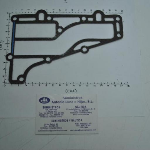 Junta de refrigeración (equivalente 6L2-41112-A3 Yamaha) RecMar [1]