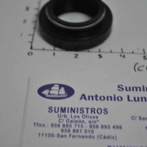 Retén de aceite del eje de la bomba de agua (equivalente 0341280 OMC/Johnson/Evinrude) RecMar