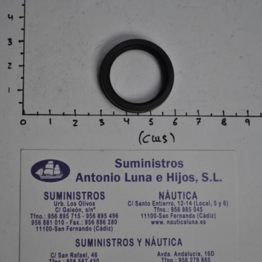 Junta tipo tapón para ánodo (equivalente 67F-11328-00 Yamaha) RecMar [2]