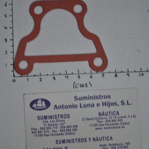 Junta de la tapa del termostato (equivalente 17685-87D10 Suzuki) RecMar