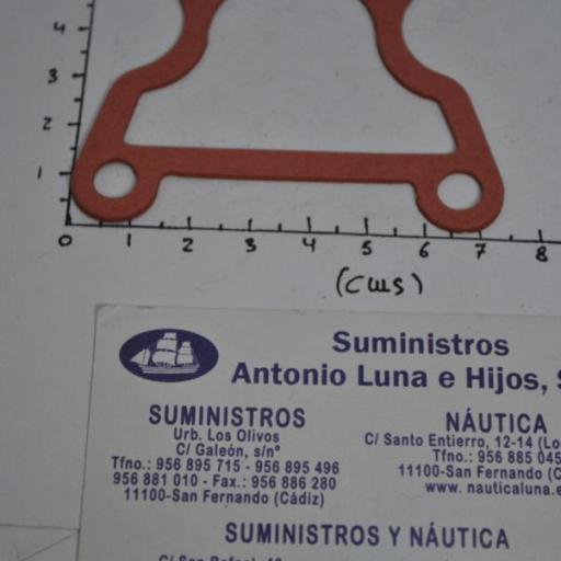 Junta de la tapa del termostato (equivalente 17685-87D10 Suzuki) RecMar [4]