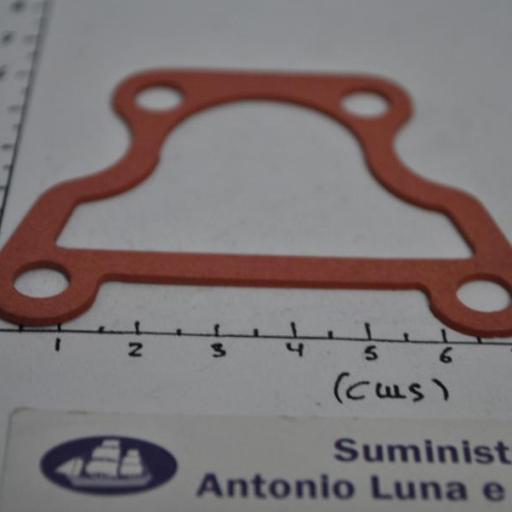 Junta de la tapa del termostato (equivalente 17685-87D10 Suzuki) RecMar [5]