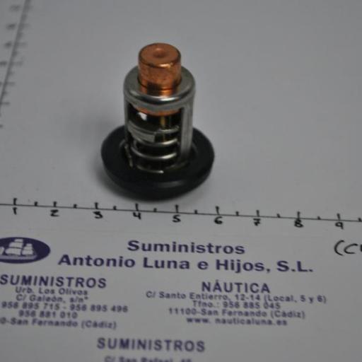 Termostato (equivalente 0437090 OMC/Johnson/Evinrude) RecMar [5]