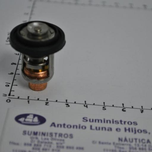 Termostato (equivalente 0437090 OMC/Johnson/Evinrude) RecMar [1]