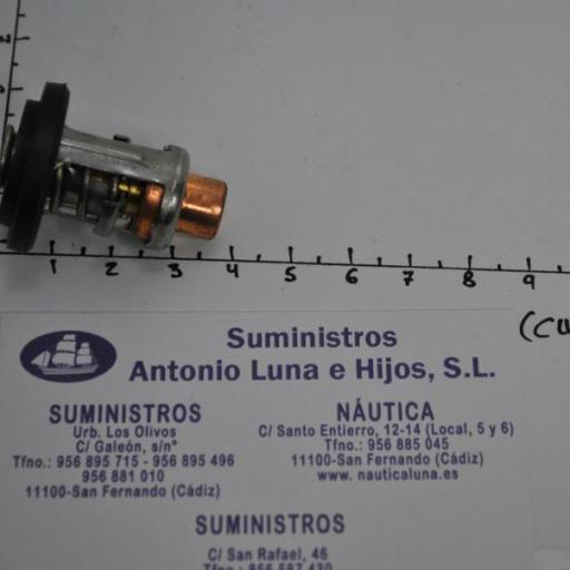 Termostato (equivalente 0437090 OMC/Johnson/Evinrude) RecMar [6]