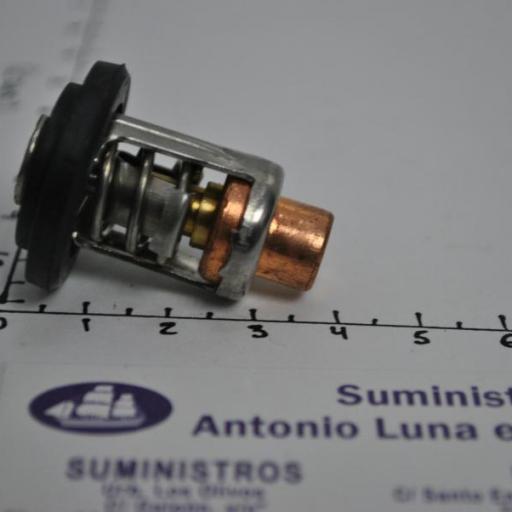 Termostato (equivalente 0437090 OMC/Johnson/Evinrude) RecMar