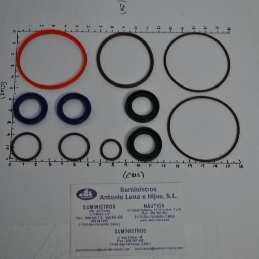 Kit de juntas y retenes del power trim (equivalente 5008985 OMC/Johnson/Evinrude)