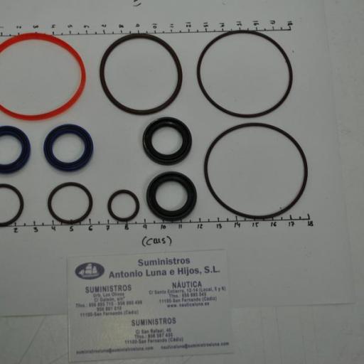 Kit de juntas y retenes del power trim (equivalente 5008985 OMC/Johnson/Evinrude) [1]