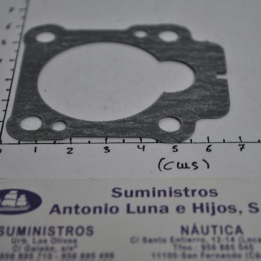 Junta de la bomba de agua 3B2-65018-2 original Tohatsu