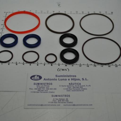 Kit de juntas y retenes del power trim (equivalente 5008985 OMC/Johnson/Evinrude) [2]