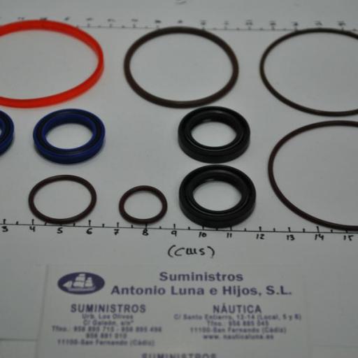 Kit de juntas y retenes del power trim (equivalente 5008985 OMC/Johnson/Evinrude) [3]