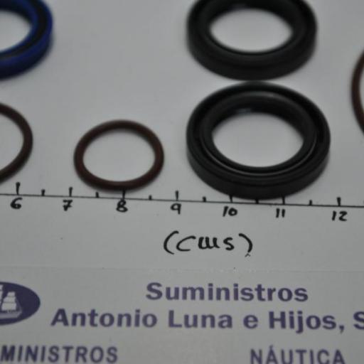 Kit de juntas y retenes del power trim (equivalente 5008985 OMC/Johnson/Evinrude) [4]