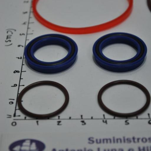 Kit de juntas y retenes del power trim (equivalente 5008985 OMC/Johnson/Evinrude) [6]