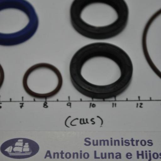 Kit de juntas y retenes del power trim (equivalente 5008985 OMC/Johnson/Evinrude) [7]