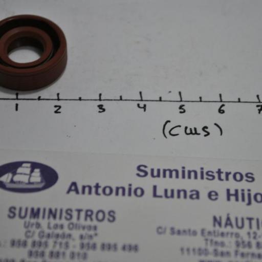 Retén de aceite del eje de cola (equivalente 93101-10M14 Yamaha) Parsun