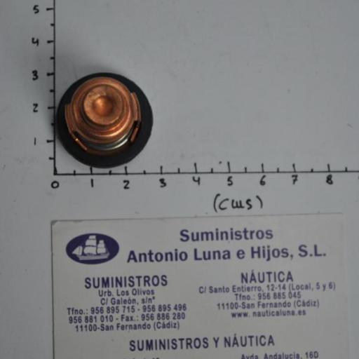 Termostato (equivalente 6E5-12411-30 Yamaha) RecMar [4]