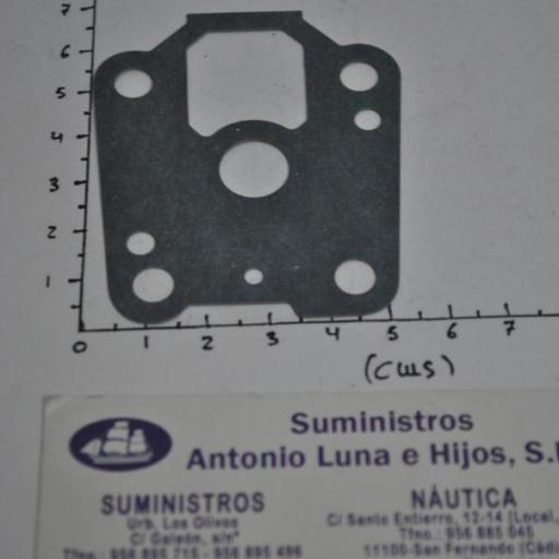 Junta de la bomba de agua 369-65029-0 original Tohatsu