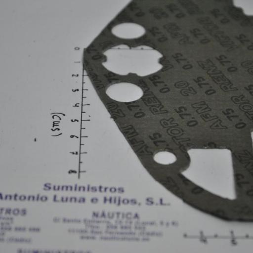 Junta base (equivalente 0343853 OMC/Johnson/Evinrude) RecMar [6]