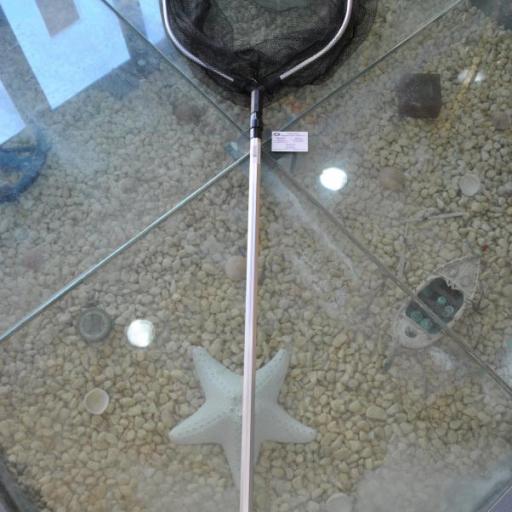 Sacadora telescópica de aluminio de 2,60 mt Lineaeffe