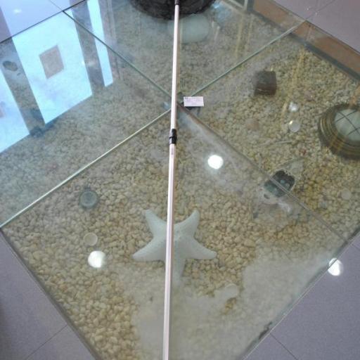 Sacadora telescópica de aluminio de 2,60 mt Lineaeffe [4]