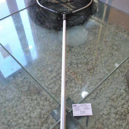 Sacadora telescópica de aluminio de 2,60 mt Lineaeffe [6]