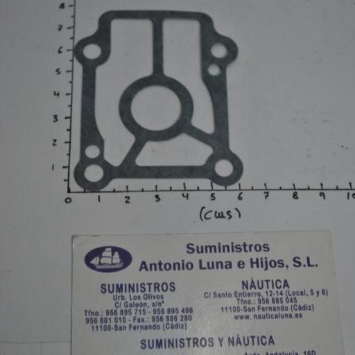 Junta de la bomba de agua 348-65029-1 original Tohatsu