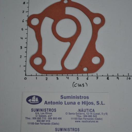 Junta de la bomba de agua (equivalente 688-44234-00 Yamaha) RecMar [1]