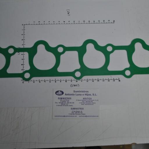 Junta del colector de admisión (equivalente 17151-ZW5-000 Honda) RecMar