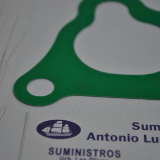 Junta del colector de admisión (equivalente 17151-ZW5-000 Honda) RecMar [4]