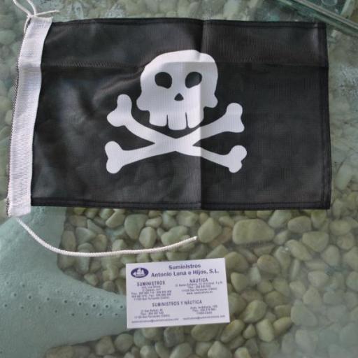 Bandera pirata de 20 x 30 cm