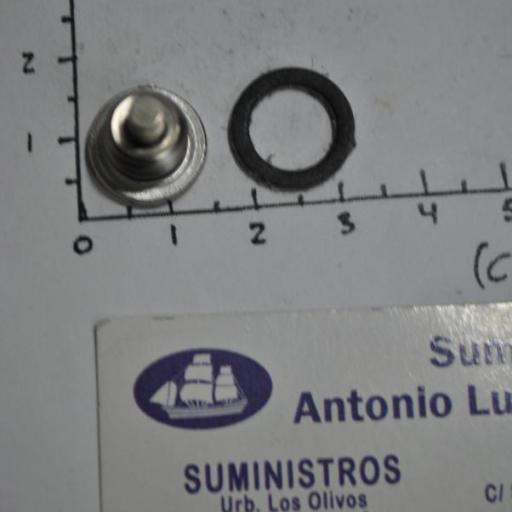 Kit de tornillo + junta para aceite de colas (equivalente 22-67892A05 Mercury) RecMar [4]