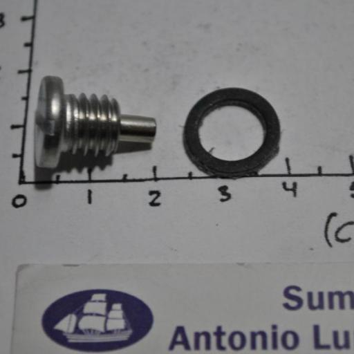 Kit de tornillo + junta para aceite de colas (equivalente 22-67892A05 Mercury) RecMar