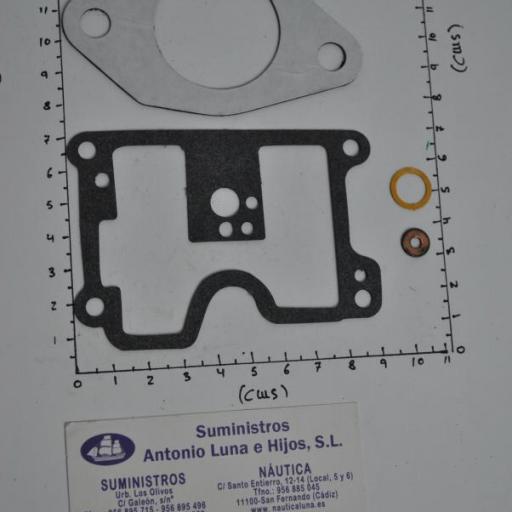 Kit de juntas del carburador (equivalente 1395-6200 Mercury) RecMar [4]