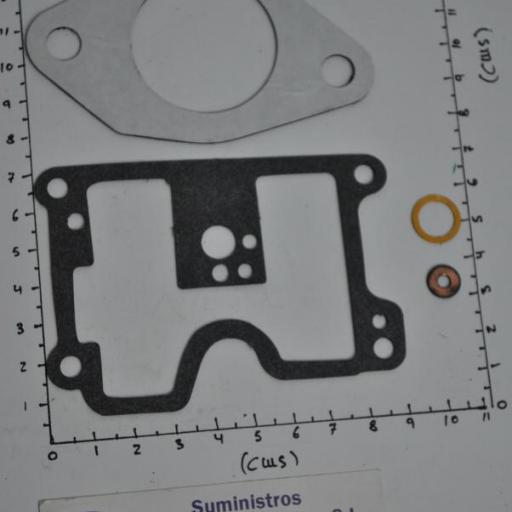 Kit de juntas del carburador (equivalente 1395-6200 Mercury) RecMar [5]