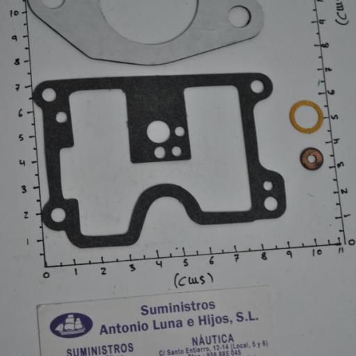 Kit de juntas del carburador (equivalente 1395-6200 Mercury) RecMar [6]