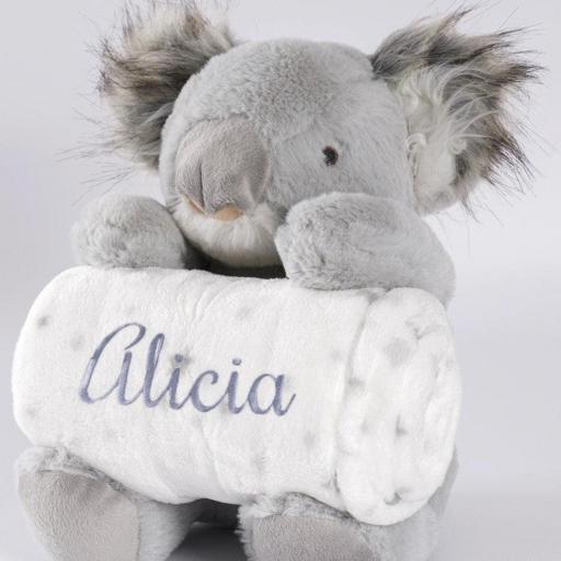 Caja regalo peluche + manta carrito  [1]